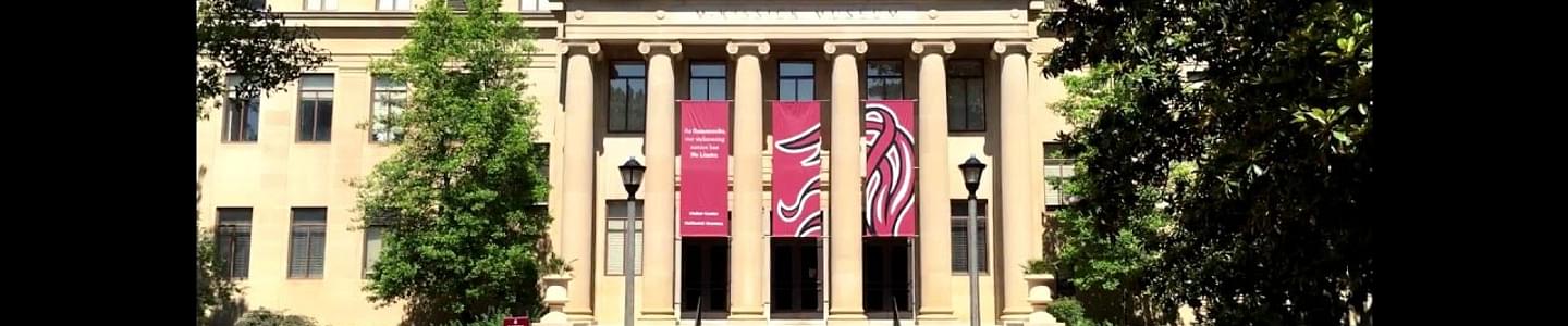 University of South Carolina banner